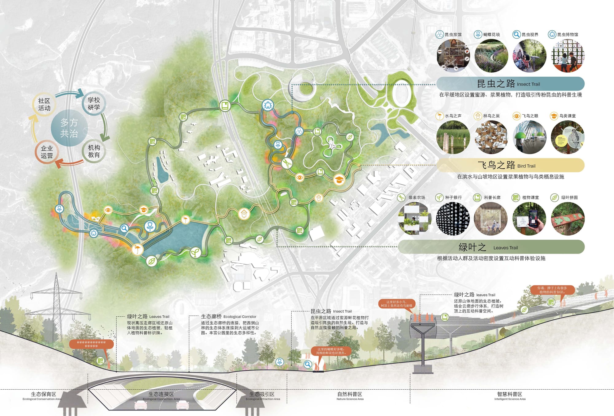 Trail system · insect, bird &amp; leaves
