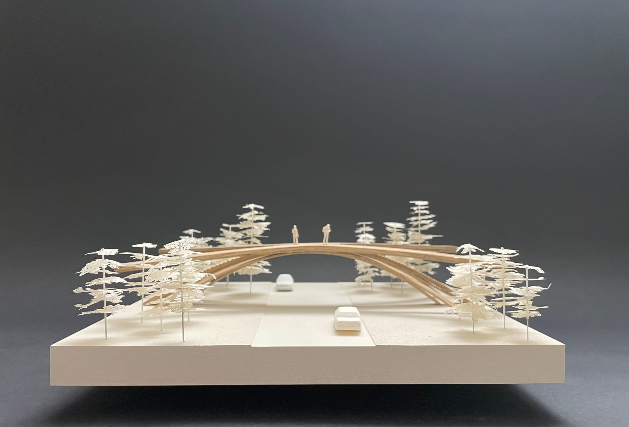 Concept model · arched bridge in landscape